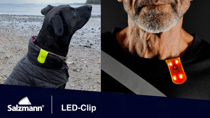 LED-Leuchtclip