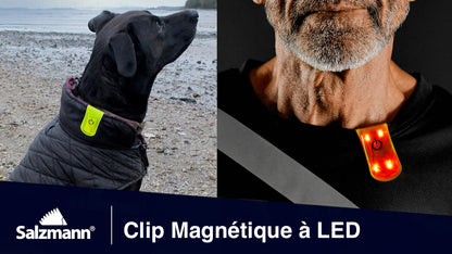 LED-Leuchtclip